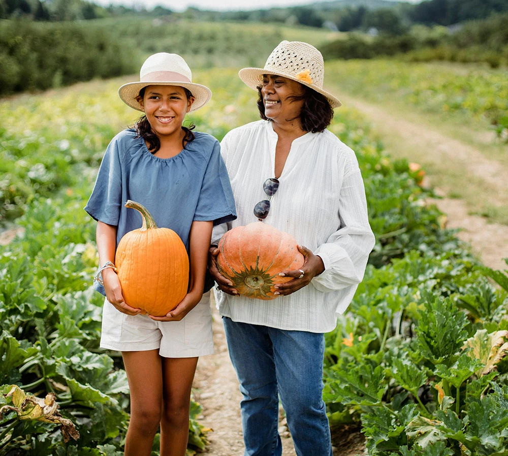 Ultrices sagittis orci a scelerisque purus semper eget duis at. Sollicitudin nibh sit amet.