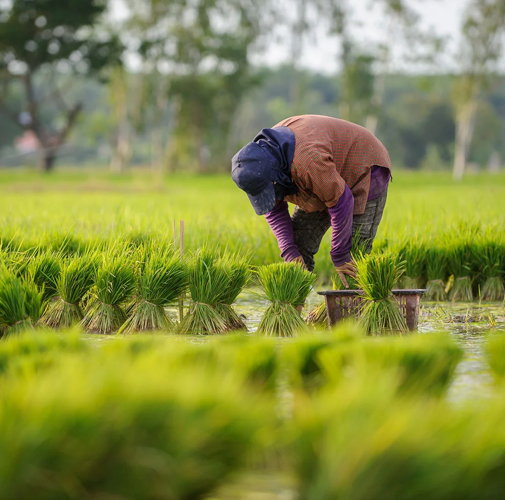 There are many variations of passages of Lorem Ipsum available, but majority have suffered teration in some form, by injected humour, or randomised words which don't look even slight believable. If you are going to use a passage of Lorem Ipsum.