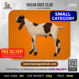 HGC-301