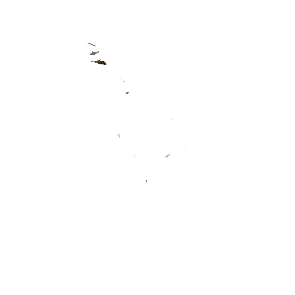 Hasan Goat Club