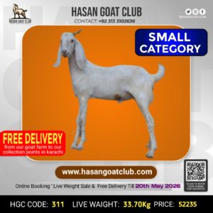 HGC-311