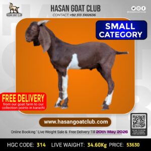 HGC-314