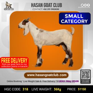 HGC-318