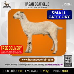 HGC-319