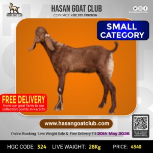 HGC-324