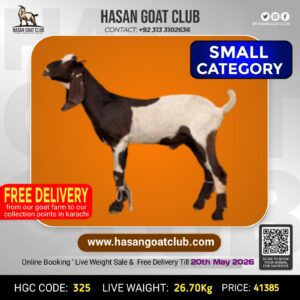 HGC-325