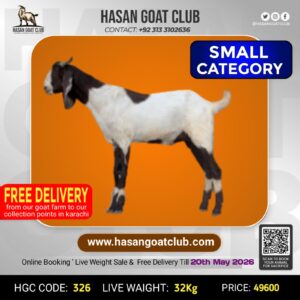 HGC-326