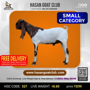 HGC-327