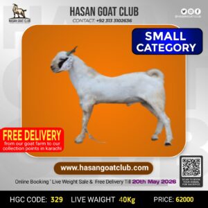 HGC-329