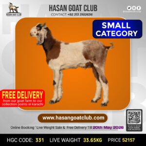 HGC-331