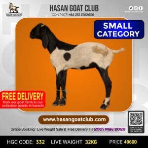 HGC-332