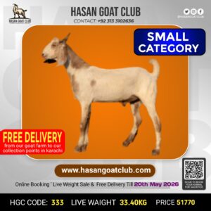 HGC-333