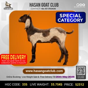 HGC-335