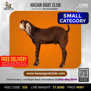 HGC-336
