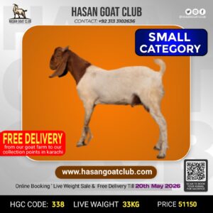 HGC-338