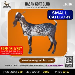 HGC-340