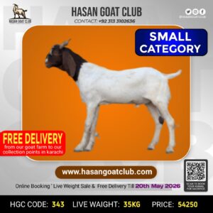 HGC-343