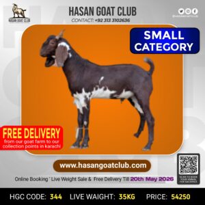 HGC-344