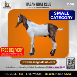 HGC-345