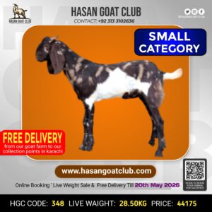 HGC-348