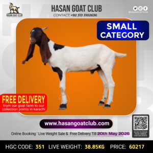 HGC-351