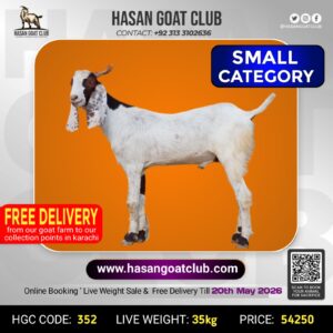 HGC-352