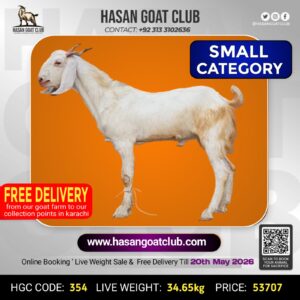 HGC-354