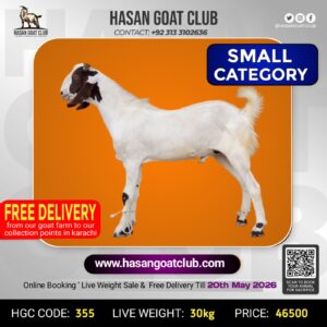HGC-355