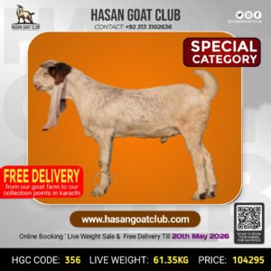 HGC-356