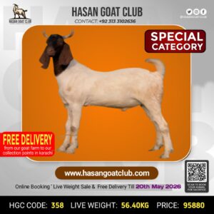 HGC-358