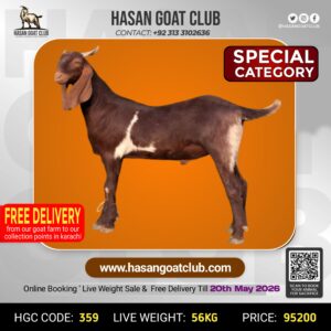 HGC-359