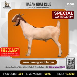 HGC-361