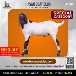 HGC-363