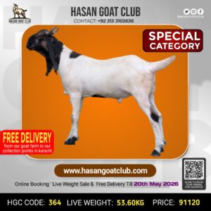 HGC-364