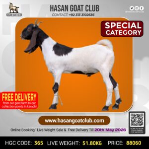 HGC-365