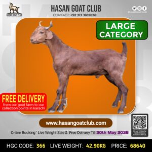 HGC-366