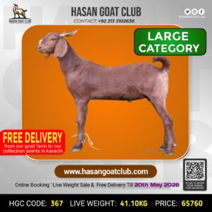 HGC-367