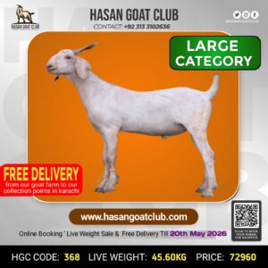 HGC-368
