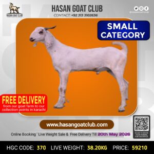 HGC-370