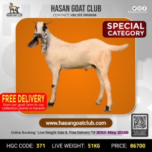 HGC-371