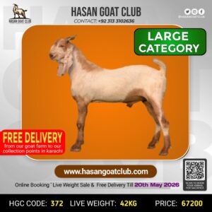 HGC-372