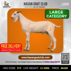HGC-373