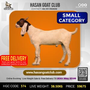 HGC-374