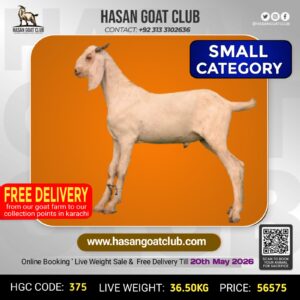 HGC-375