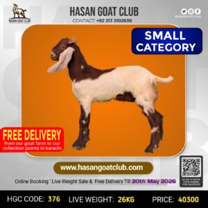 HGC-376