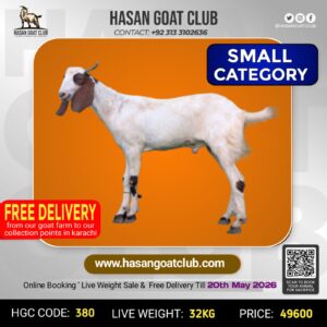 HGC-380