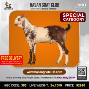 HGC-383