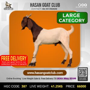 HGC-387
