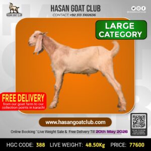 HGC-388