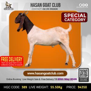 HGC-389